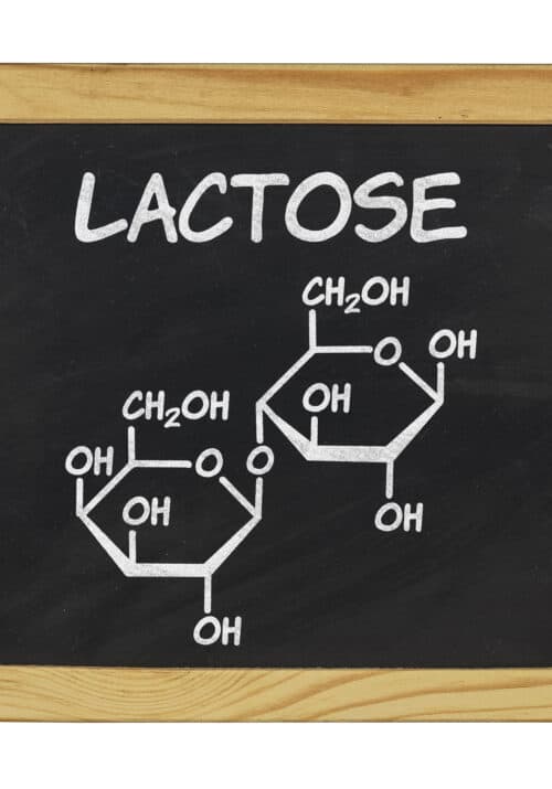 Is lactose free milk dairy free?