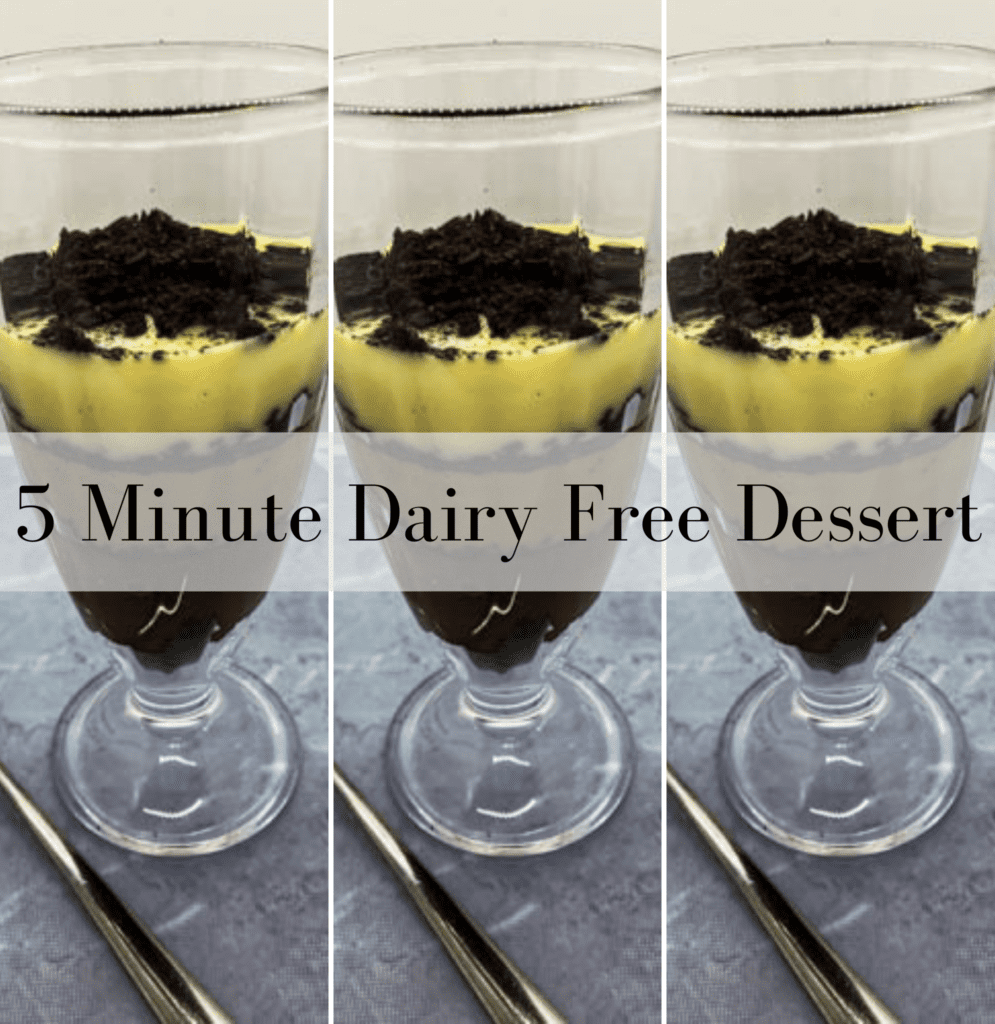 5 Minute Dairy Free Dessert